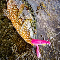 Savage Gear Sandeel V2 Weedless Combo